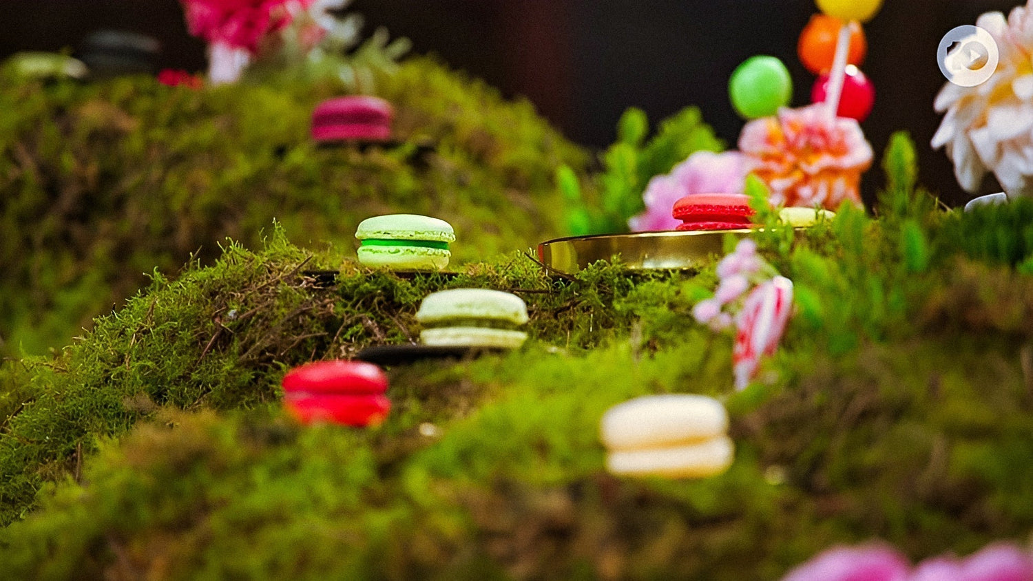From Forest Floor to MasterChef: Koda Moss in Sweet Week 2024