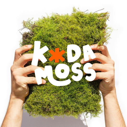 Unveiling Koda Moss 2.0 - A New Chapter in Our Green Journey