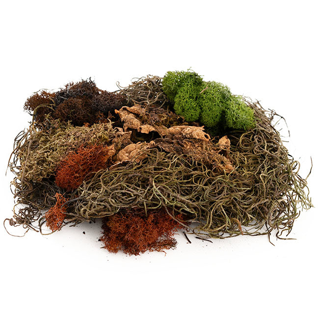 Oregon Preserved Moss and Lichen Mix Bag 55gm Bag