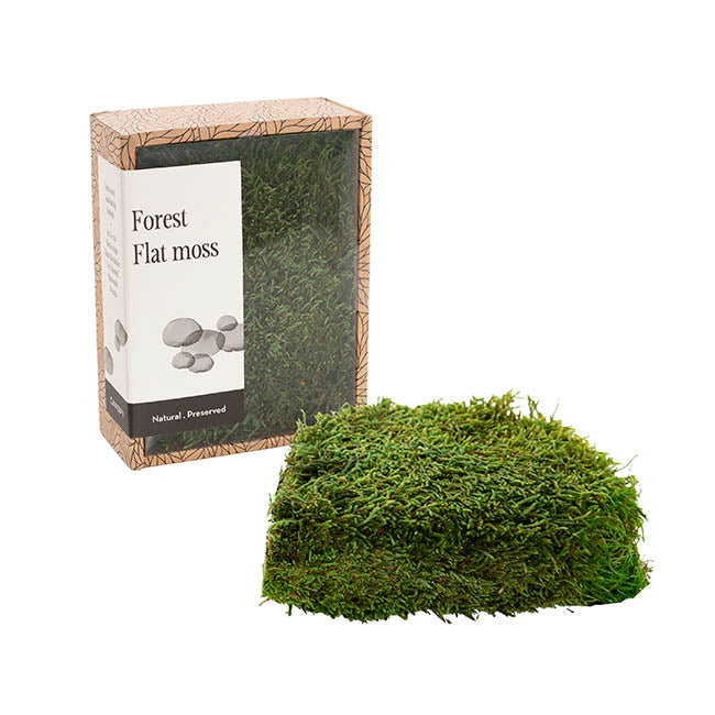 Preserved Flat Moss Box