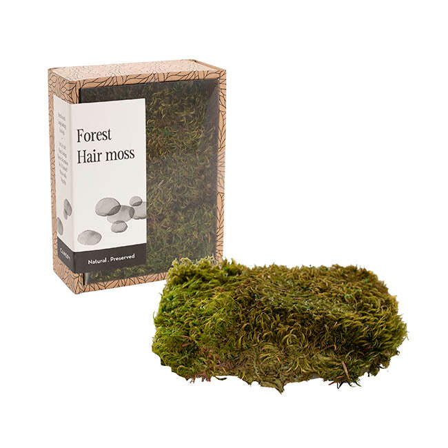 Preserved Hair Moss Box