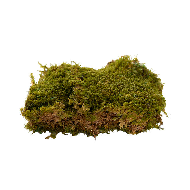 Preserved Rock Moss Box