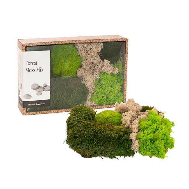 Preserved Forest Mixed Moss Panel
