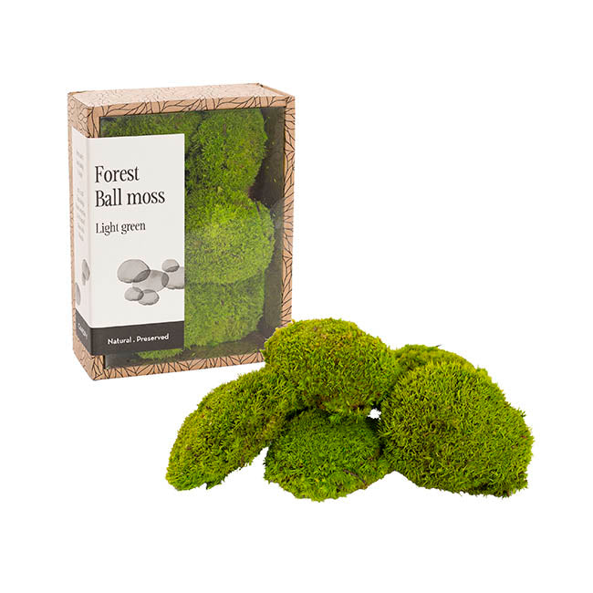Preserved Mini Moss Balls