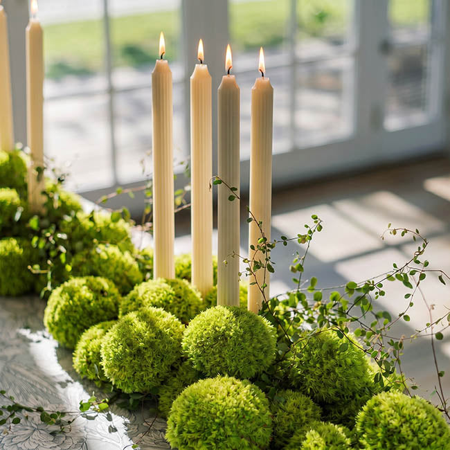 Preserved Mini Moss Balls