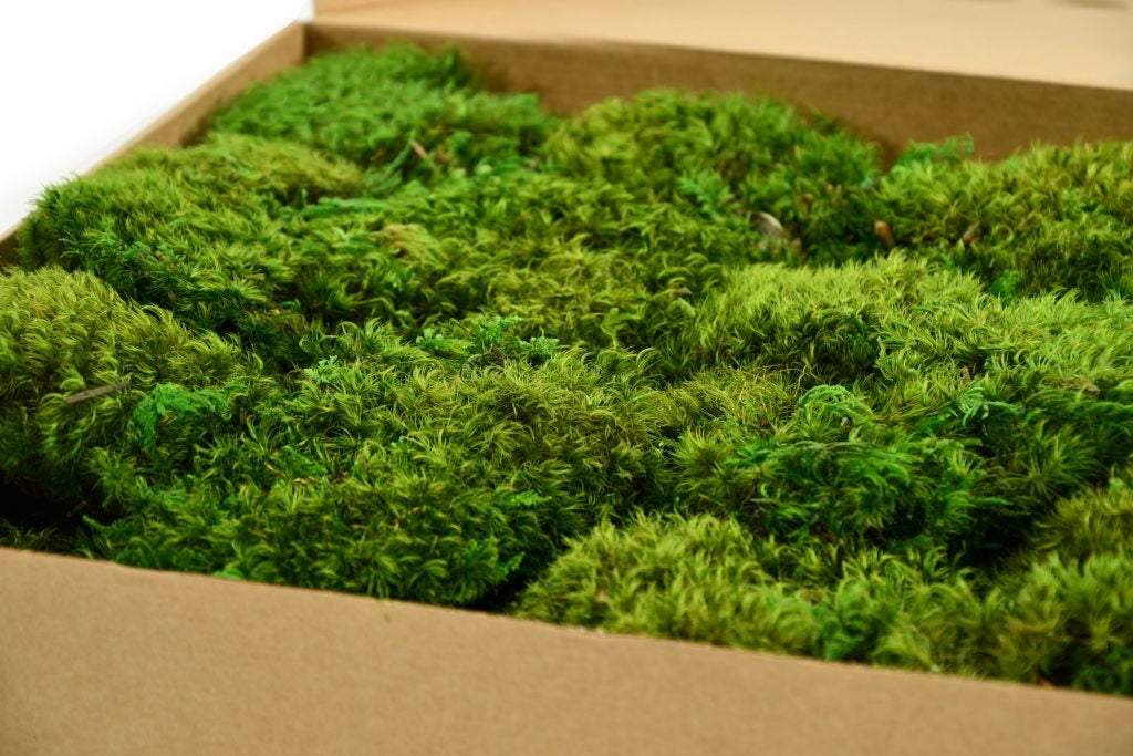 Preserved Hair Moss - 800g