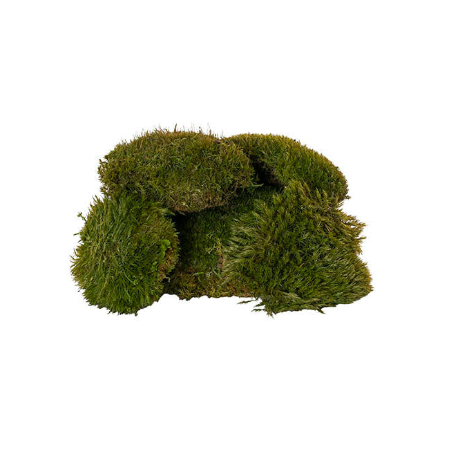 Preserved Mood Moss - 600g