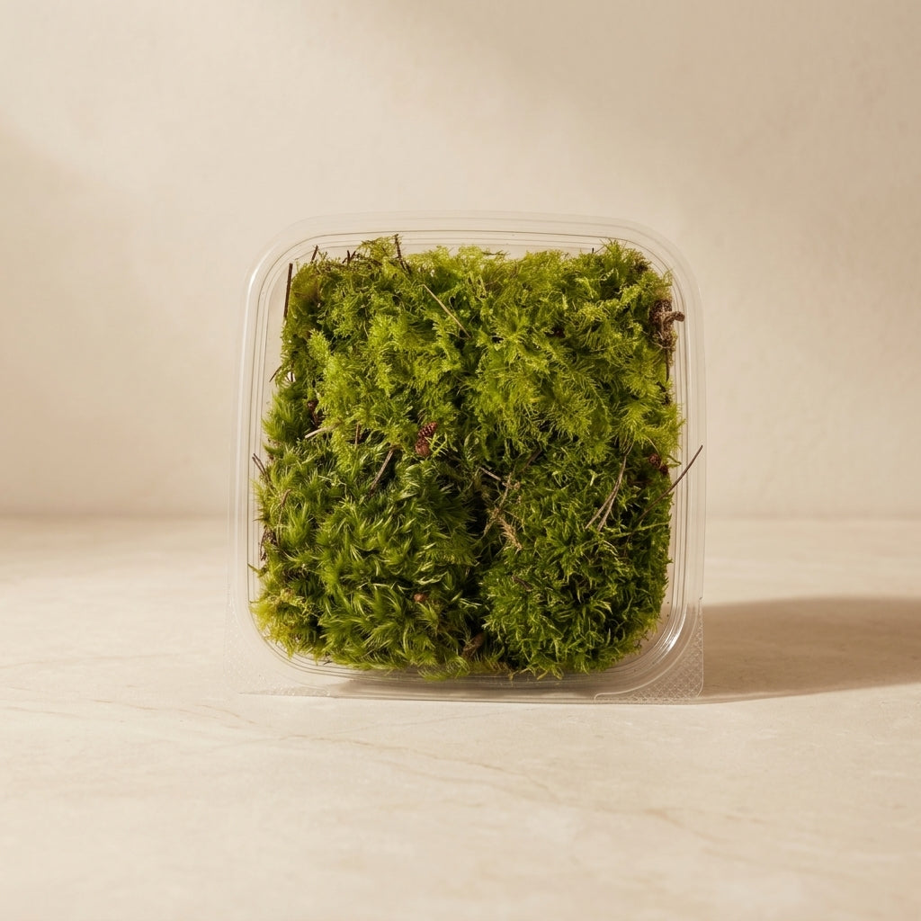 Fork Moss Mix Pack