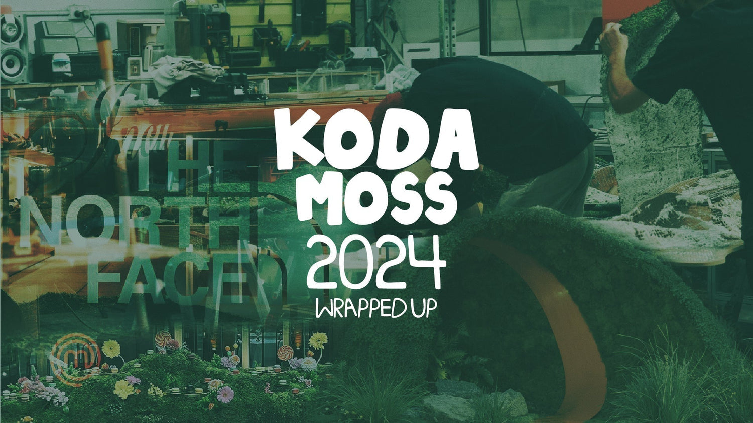 Reflecting on 2024: A Year of Growth, Challenges, and Change