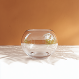 Terrarium Glass - 20cm Fish Bowl
