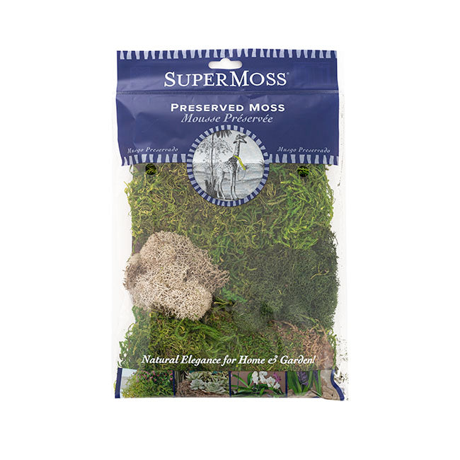 Delaware Preserved Moss and Lichen Mix Bag 55gm Bag