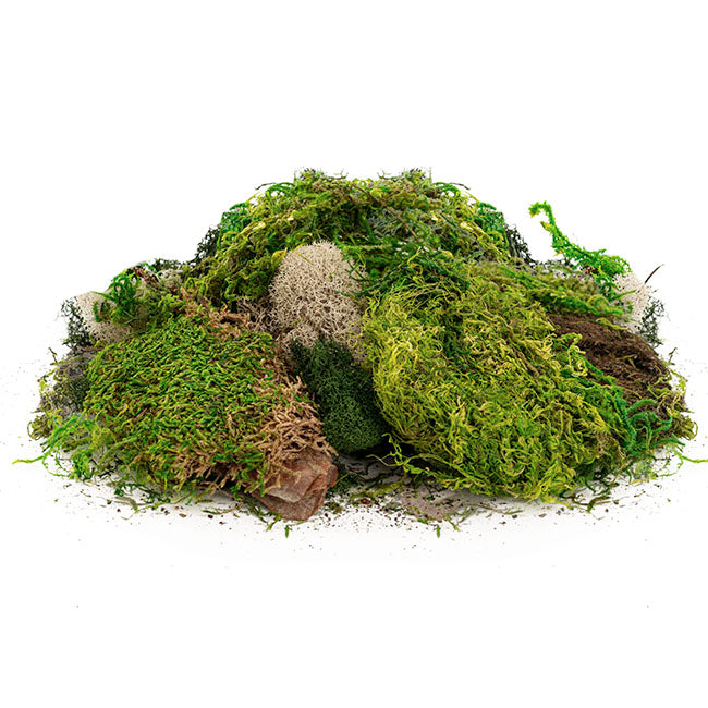 Delaware Preserved Moss and Lichen Mix Bag 55gm Bag