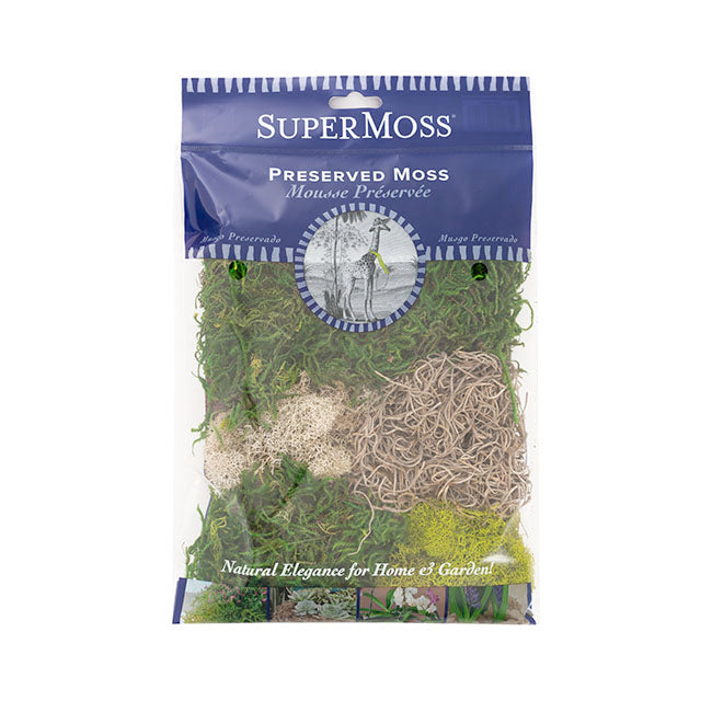 Carolina Preserved Moss and Lichen Mix Bag 55gm Bag