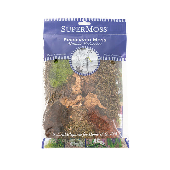 Oregon Preserved Moss and Lichen Mix Bag 55gm Bag