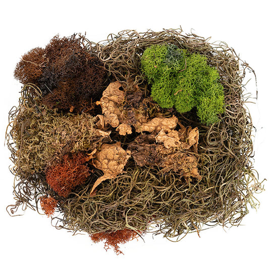 Oregon Preserved Moss and Lichen Mix Bag 55gm Bag