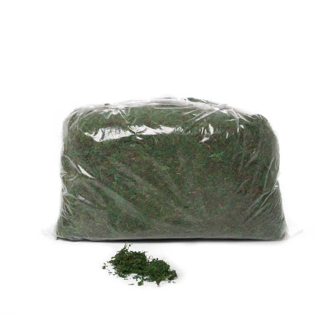 Loose Preserved Moss - 500gm Bag
