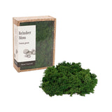 Preserved Reindeer Moss Forest Green