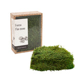 Preserved Flat Moss Box