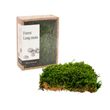 Preserved Long Moss Box