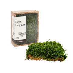 Preserved Long Moss Box