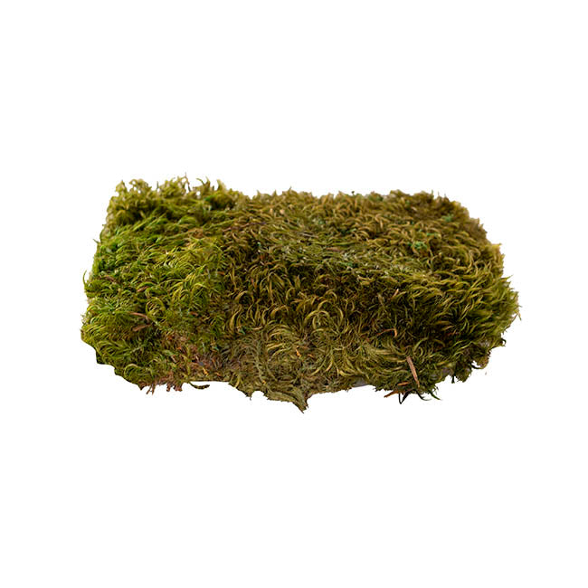 Preserved Hair Moss Box