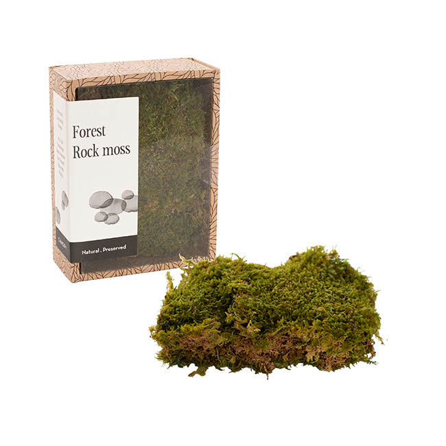 Preserved Rock Moss Box