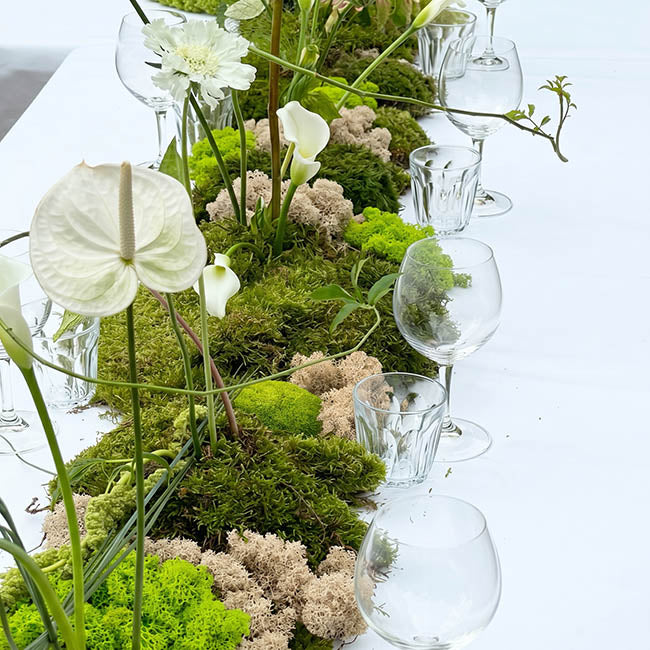 Preserved Forest Mixed Moss Panel