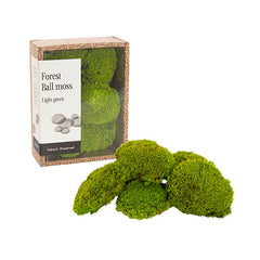 Preserved Mini Moss Balls