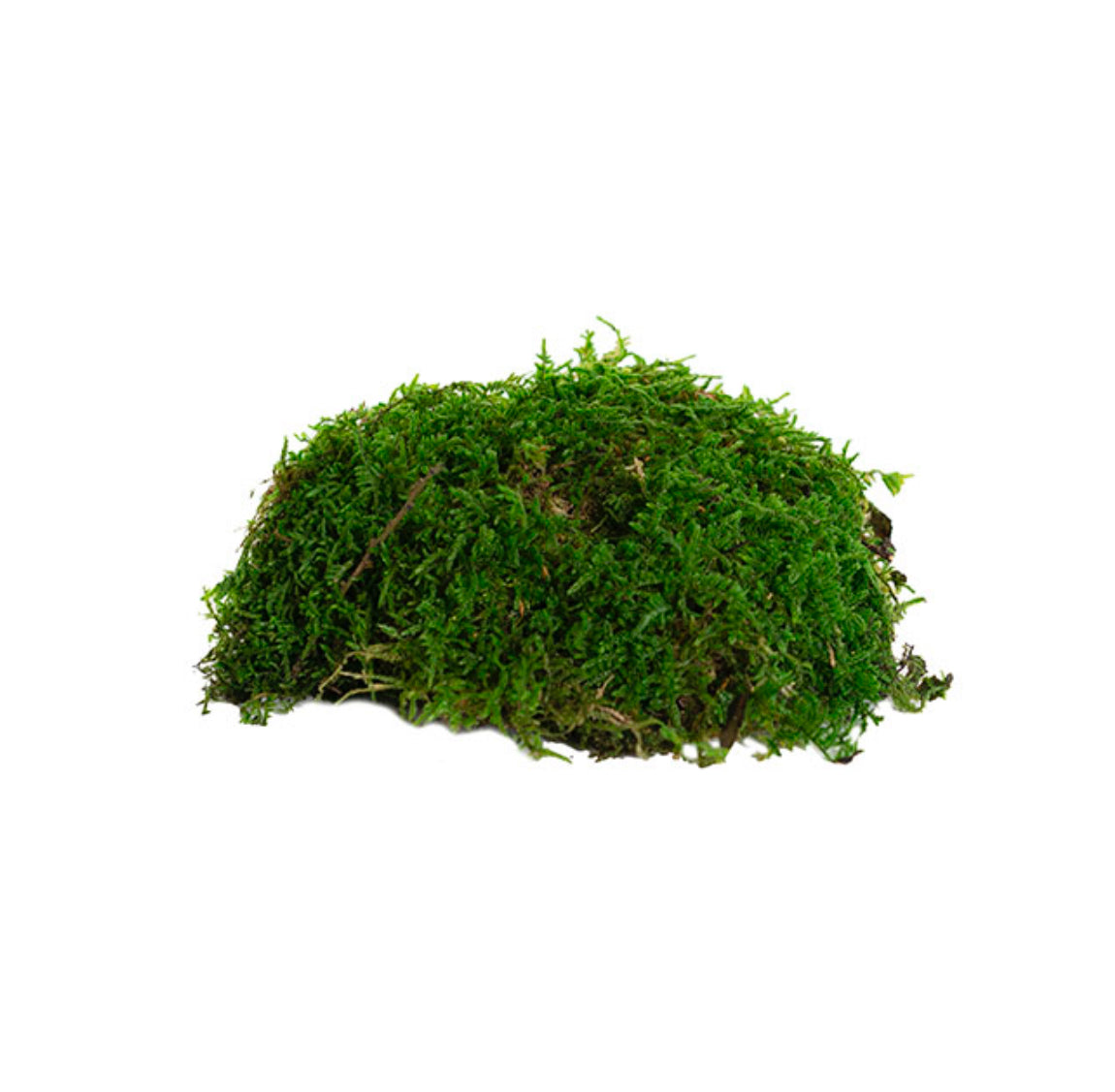 Preserved Flat Sheet Moss 2.5kg Bulk Box