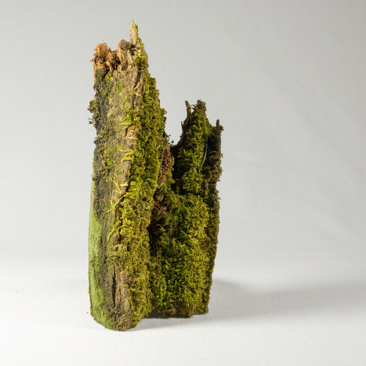 #2 - Moss on Split Pine Log 12.5×5.5×3.5 cm