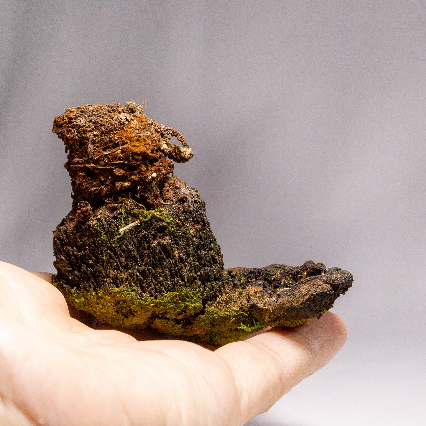 #7 - Moss Covered Mushroom - 7x8x8 cm