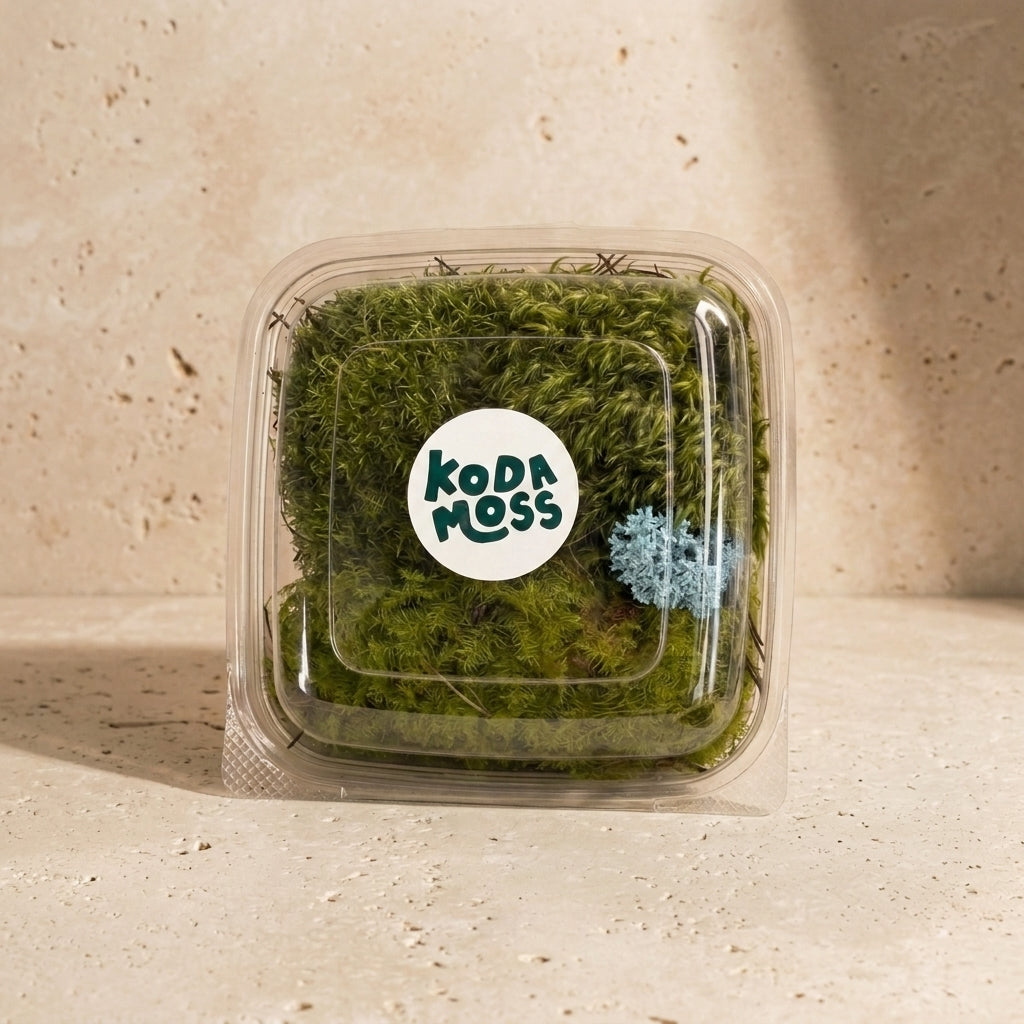 Coral Lichen Mix Pack