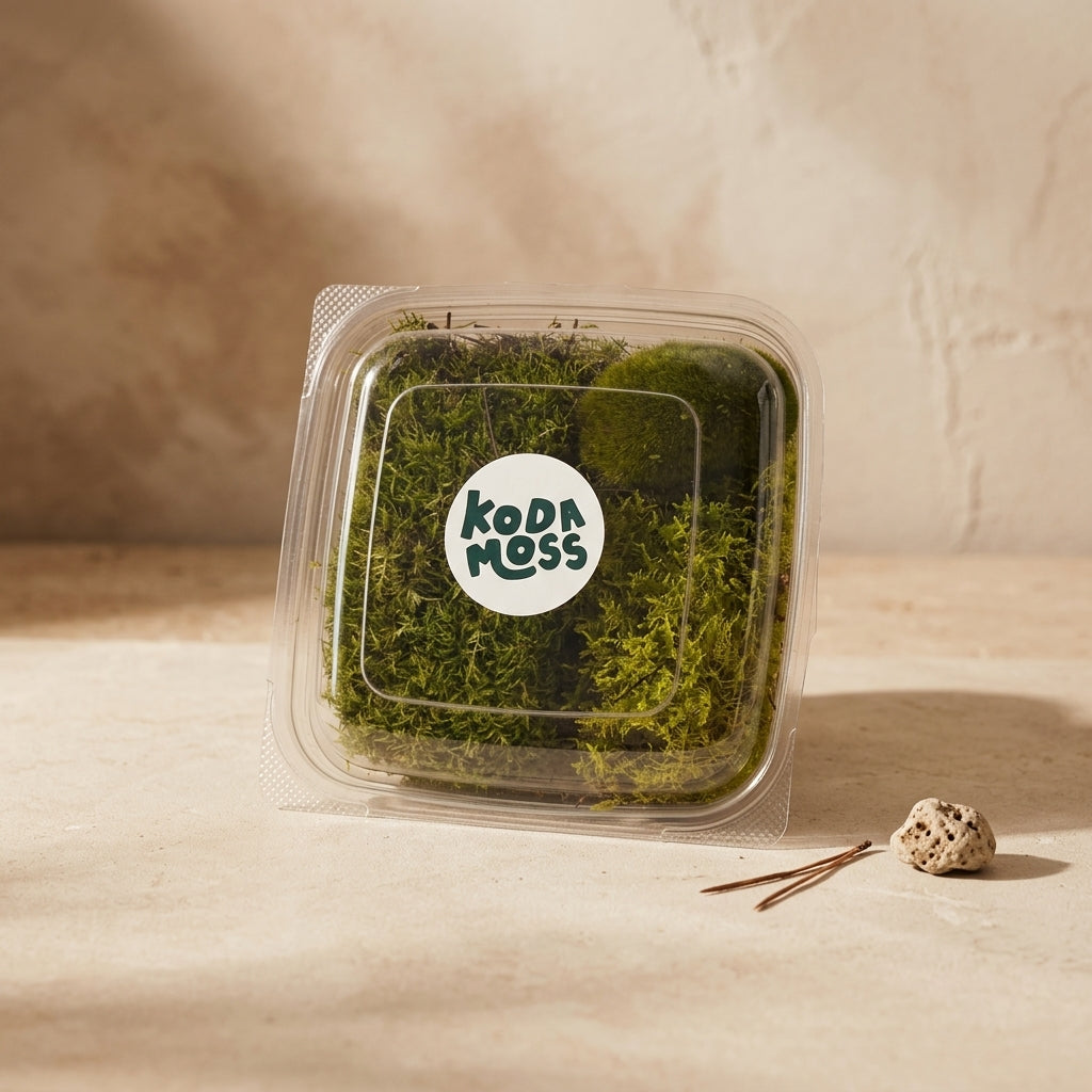 Cushion Moss Mix Pack