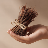 Dried Pine Needles by the Handful