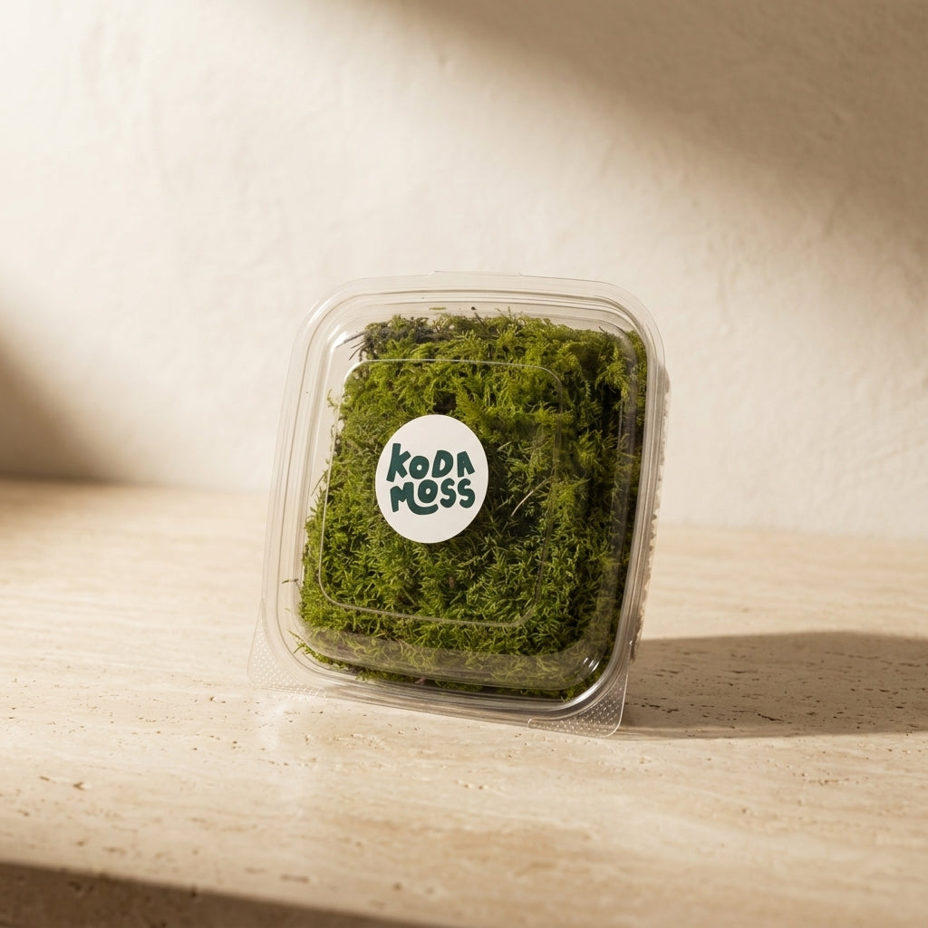Fern & Feather Moss Pack