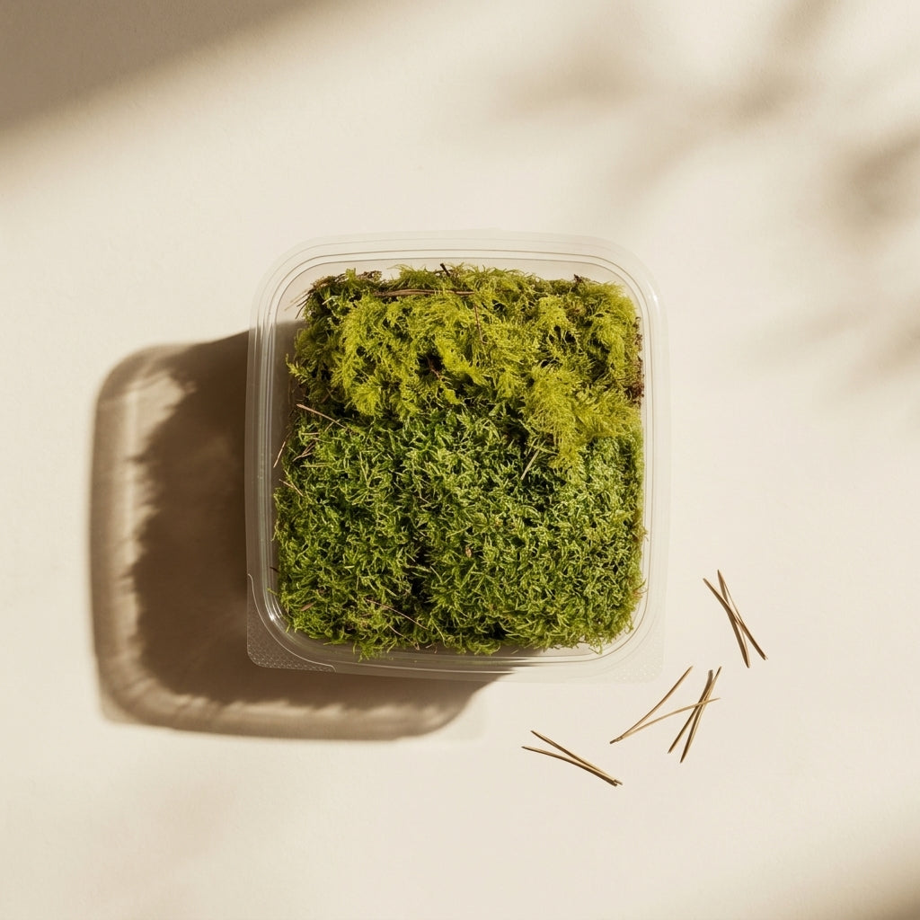 Fern & Feather Moss Pack