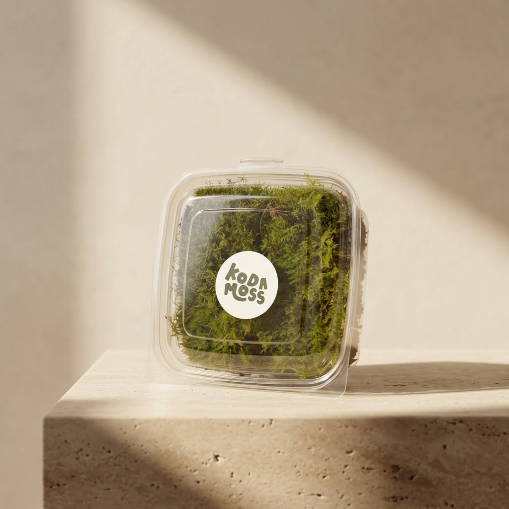 Fork Moss Mix Pack