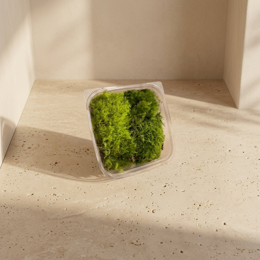 Fork Moss Mix Pack