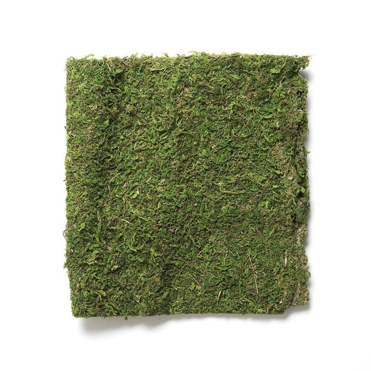 Preserved Moss Tile - 45cm x 122cm