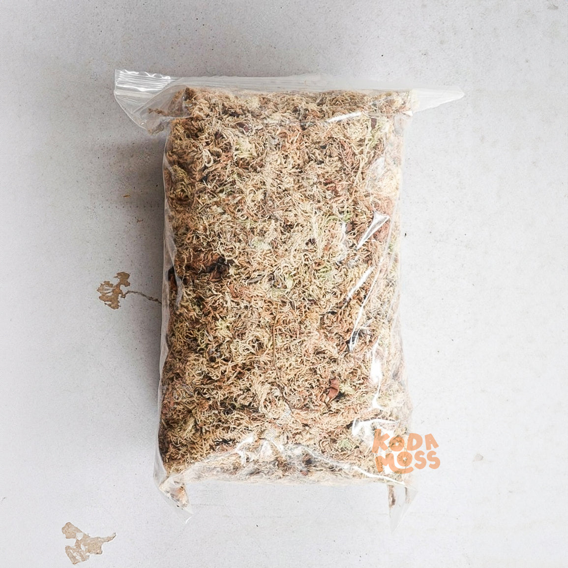 Sphagnum Moss - Wild Foraged & Dried