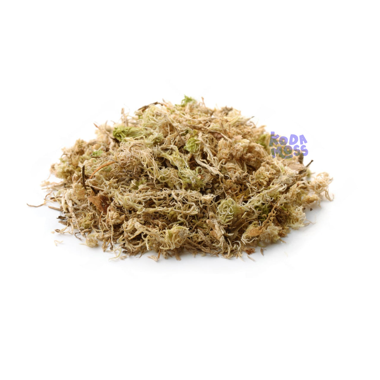 Sphagnum Moss - Wild Foraged & Dried