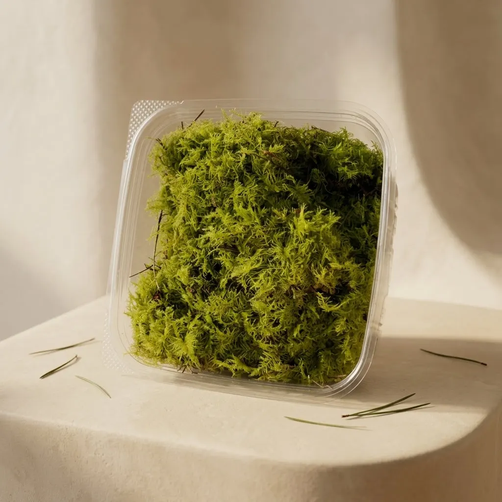 Live moss
